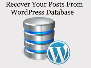WordPress Database