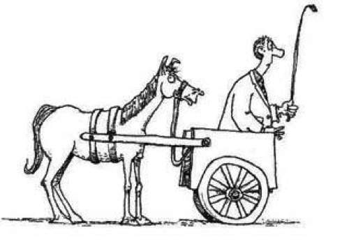 cartoon-of-horse-and-buggy