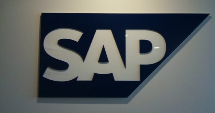 SAP Consultants