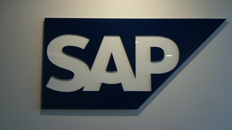 SAP Consultants