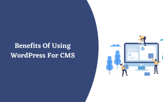 WordPress For CMS