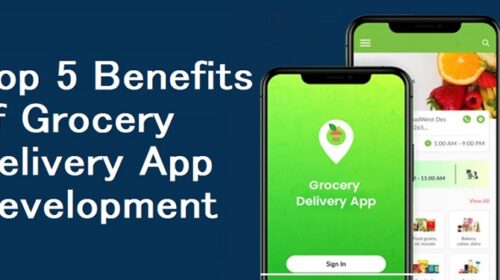 Top 5 Benefits of Grocery Delivery App Development