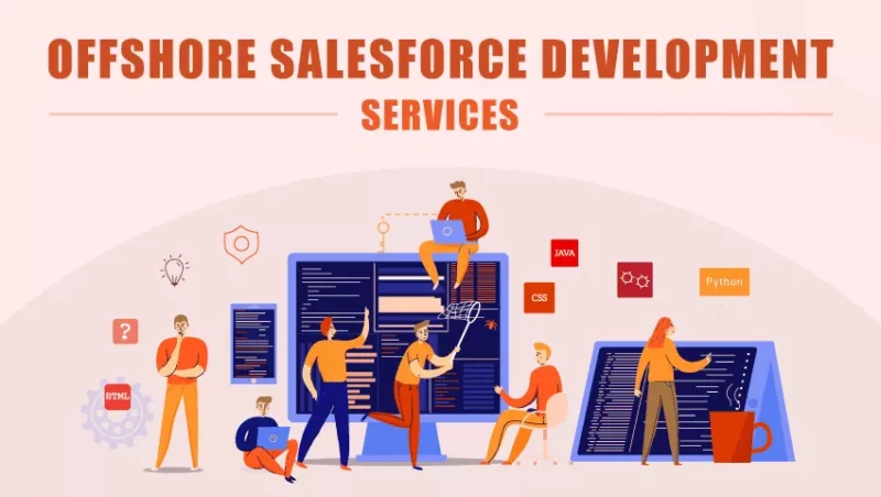 Salesforce Development Services